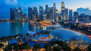 Integris global intelligence risk management Singapore